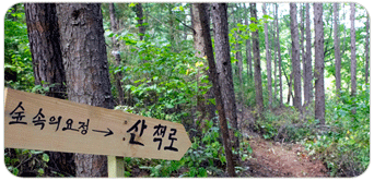 �ڿ���å��